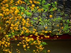 景点-崇州市街子古镇