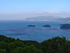 -花竹村