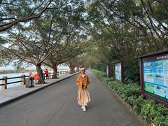 -大湾区中央湿地公园