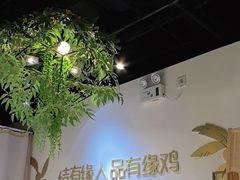 -肥佬大椰子鸡(三里屯3·3大厦店)