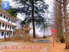 -树山生态村