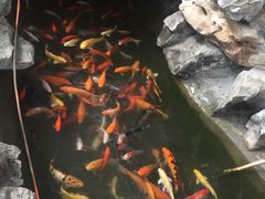 -森谷美食公园(杨行店)