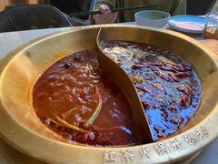 -矮冬瓜红茶火锅