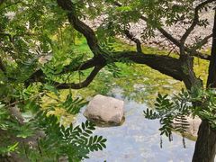 -崂山九水游览区