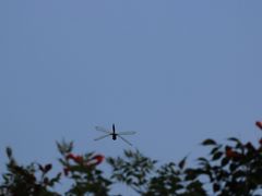 -张公山寨景区