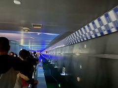 -白鹤梁水下博物馆