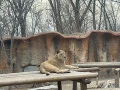 -北京野生动物园