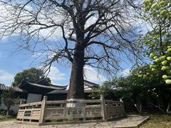 -常熟方塔园