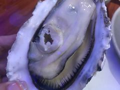 -千岛蚝高压锅生蚝·人参火锅(白云万达店)