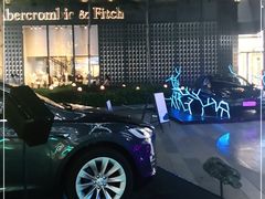 -TESLA 特斯拉(广州天环广场体验店)