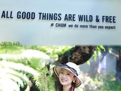 -Chom Cafe and Restaurant
