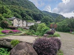 -雁南飞茶田景区