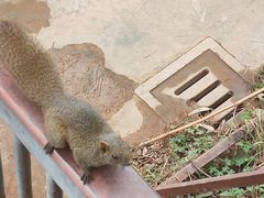 -昆明动物园