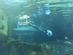 -北戴河圣蓝海洋公园