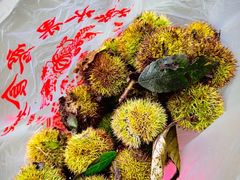 -上海佘山国家森林公园天马山园