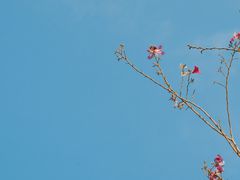 -英雄广场
