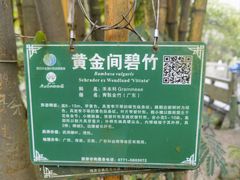 -广西壮族自治区药用植物园
