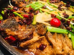 -老板恋上鱼(印象城店)