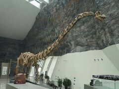 android_upload_pic-中华赏石园