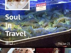 -協成海鮮火鍋(老店)