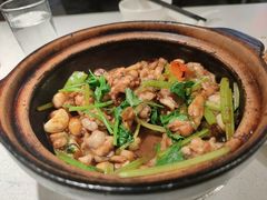 啫啫牛蛙-煲煲好(朝阳门店)