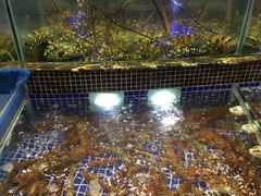 水产区-欢乐海岸美食联盟