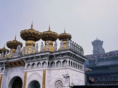 -上海东林寺(金山区)