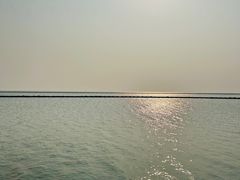 -合肥滨湖国家森林公园