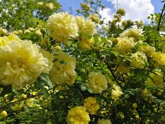 -长春公园(普阳街道)