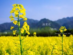 -沣峪口