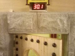 -纽斯洗浴SPA(三墩店)