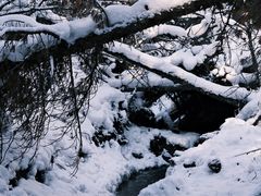 -峡谷浮石林景区