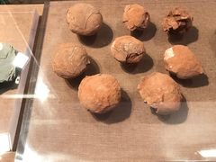 -烟台市博物馆