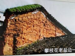 -攀枝花野菜铜火锅(万科凯德店)