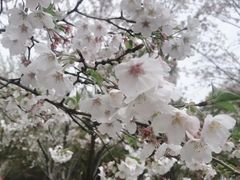-上海南浦大桥长途旅游客运站
