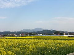 -东梓关景区村庄