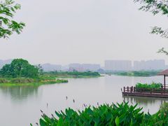 -三垟湿地