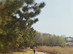 -前关湿地公园