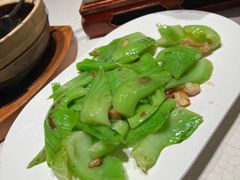 -大鸽饭(动物园店)