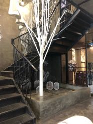 -上禾 HAIR SALON