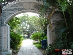 -小洲村
