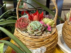 -FEI FEI FLOWER鲜花店·气球派对·宝宝宴布置(虹口德必运动Loft店)