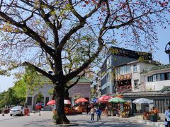 -桥西市场(环城西路)