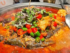 -探鱼·鲜青椒爽麻烤鱼(领展购物广场店)