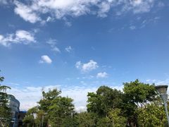 -东华大学(松江校区)