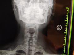 -杭州市第一人民医院(湖滨院区)