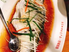 -丹江渔村(望京店)