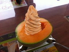 -富田农场