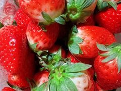 -麦德龙(虹口江湾店)