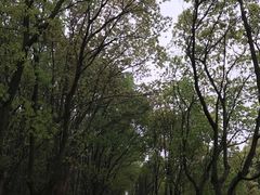 -同里国家湿地公园